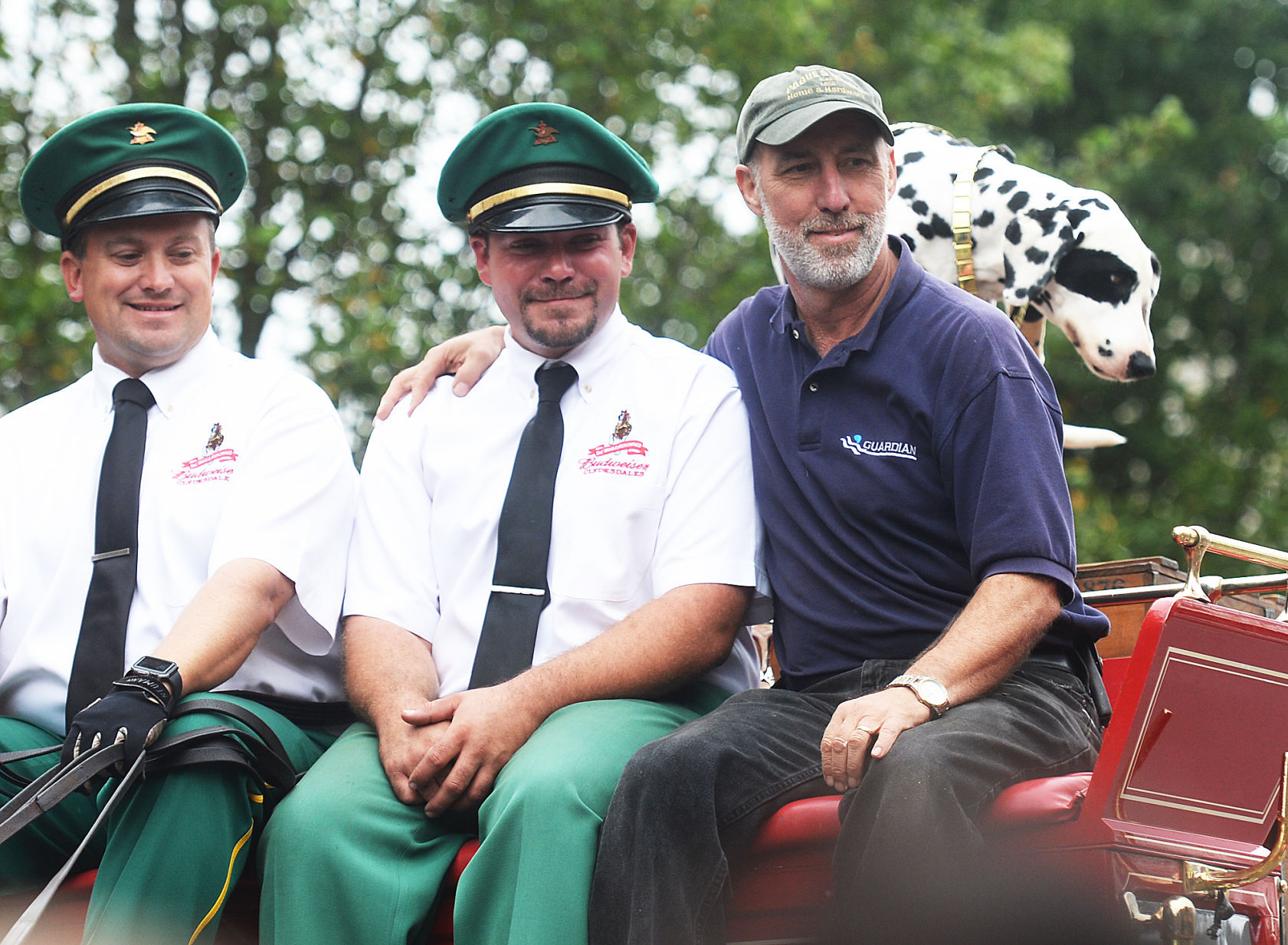 Budweiser Clydesdales Visit Shippensburg